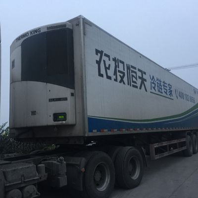 Θερμοκράτορας 0 βαθμών Κελσίου SLXI 300 Μονάδα κατάψυξης για ψύξη τροφίμων